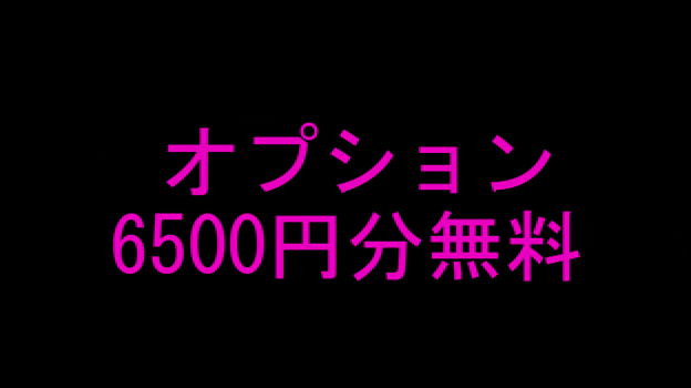 無料オプション.mp4